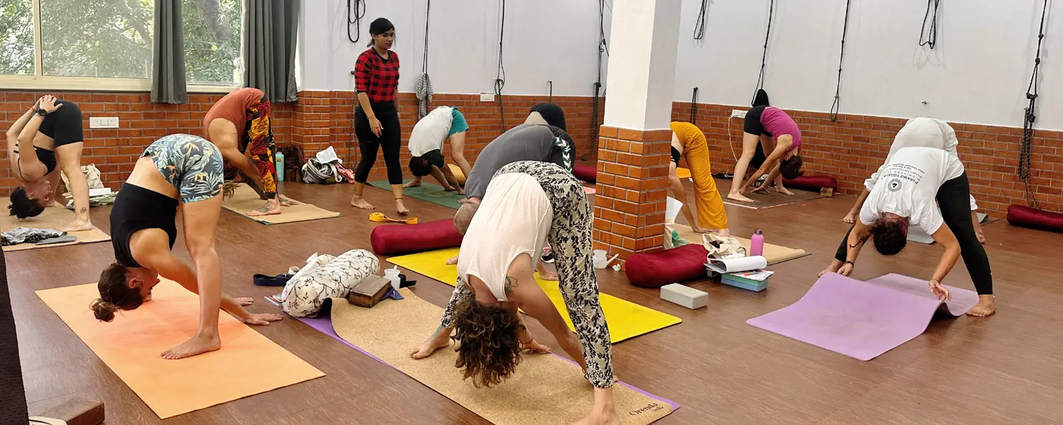 Shree Maha Yoga School