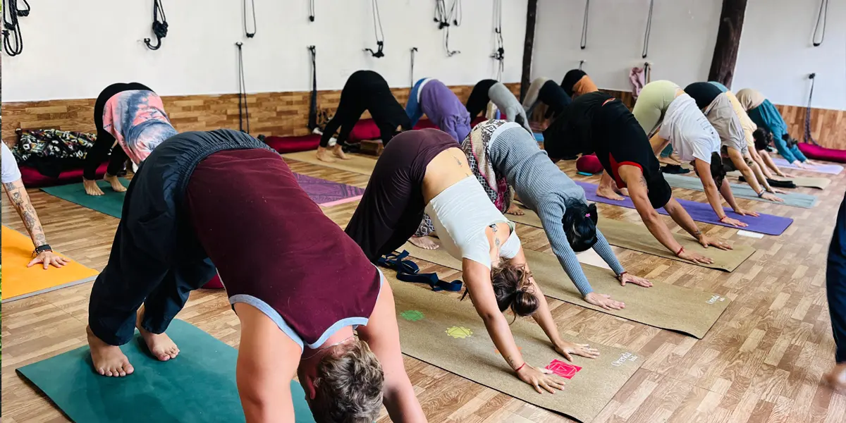 100-hour-yoga-teacher-training-in-india